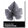 Image selector to view front