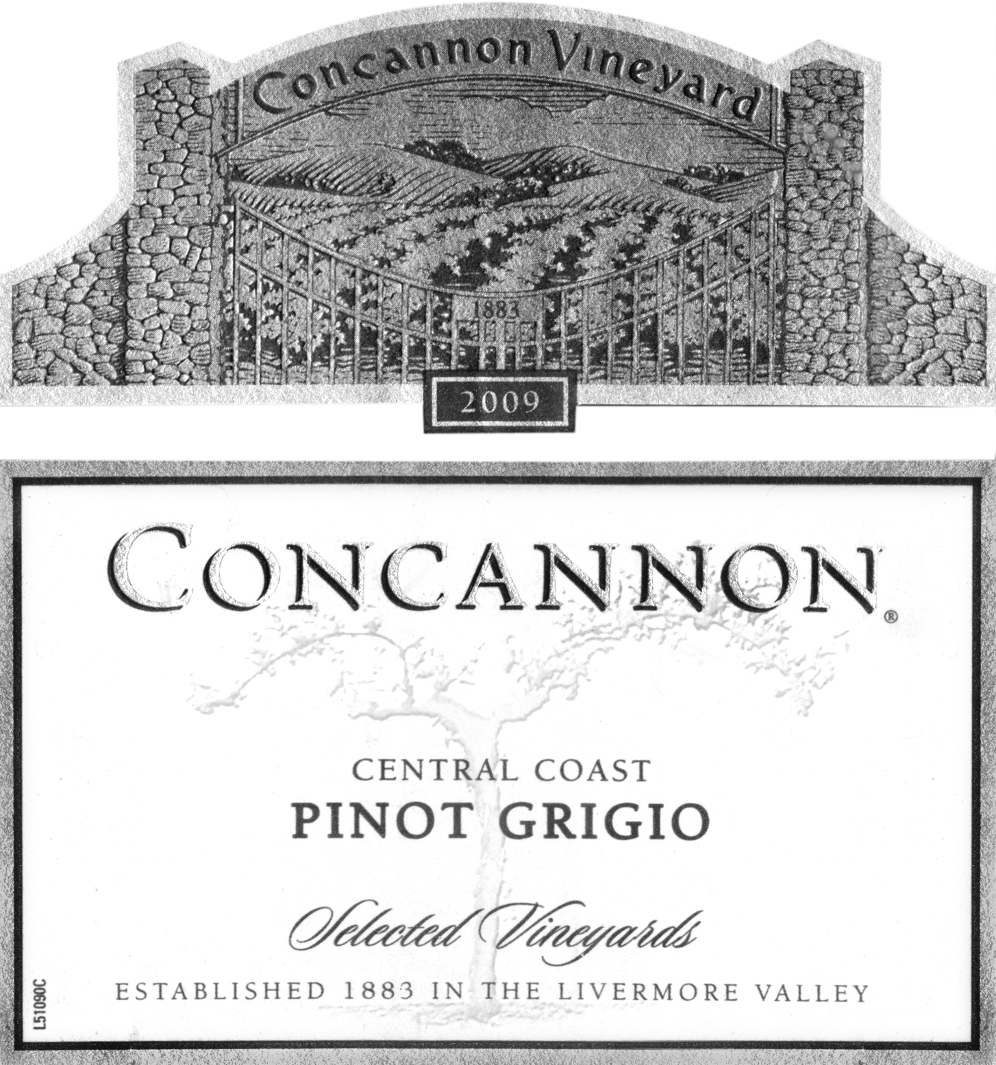 2010 Concannon Pinot Grigio Wine Library