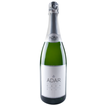 Bottle shot for  Elvi Adar Sparkling Cava