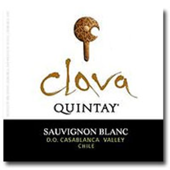 Label shot for 2008 Quintay Sauvignon Blanc