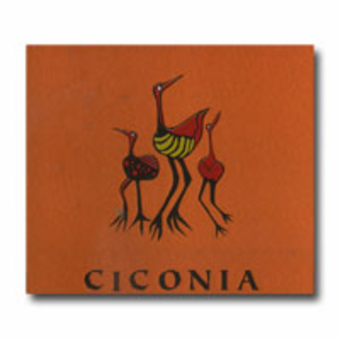 Label shot for 2008 Ciconia
