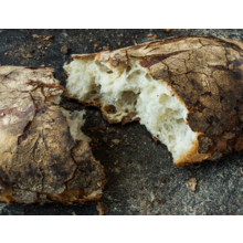Product image for  Balthazar Ciabatta