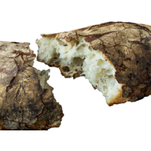 Product image for  Balthazar Ciabatta