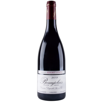 Bottle shot for 2009 Domaine Dupeuble Beaujolais