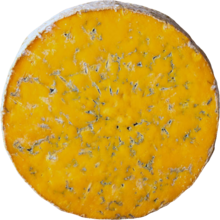 Product image for  Shropshire Hartington