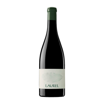 2013 Clos Erasmus Laurel Priorat | Wine Library